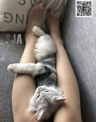 欧美yansaty_全集无删减版高清免费观看